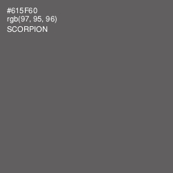 #615F60 - Scorpion Color Image