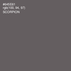 #645E61 - Scorpion Color Image
