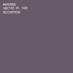 #665B66 - Scorpion Color Image