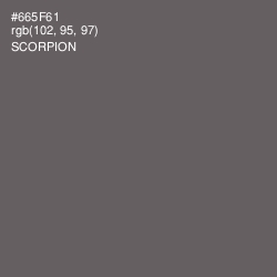 #665F61 - Scorpion Color Image