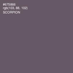 #675866 - Scorpion Color Image