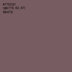 #775C61 - Scorpion Color Image