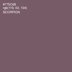 #775C68 - Scorpion Color Image