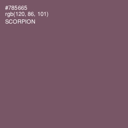 #785665 - Scorpion Color Image