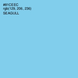 #81CEEC - Seagull Color Image