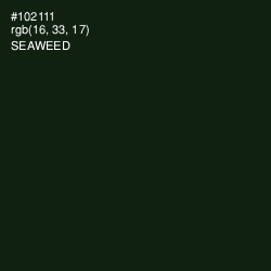 #102111 - Seaweed Color Image