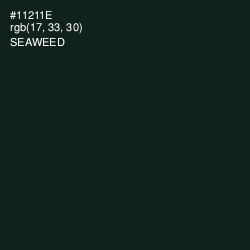 #11211E - Seaweed Color Image