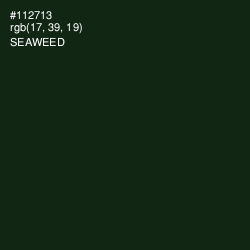 #112713 - Seaweed Color Image
