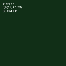 #112F17 - Seaweed Color Image