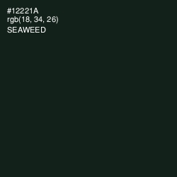 #12221A - Seaweed Color Image