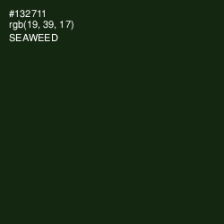 #132711 - Seaweed Color Image