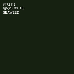 #172112 - Seaweed Color Image
