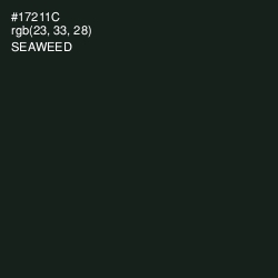 #17211C - Seaweed Color Image