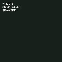 #18201B - Seaweed Color Image