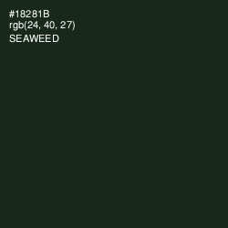 #18281B - Seaweed Color Image