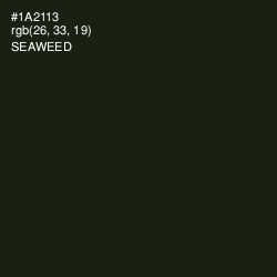#1A2113 - Seaweed Color Image