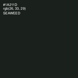 #1A211D - Seaweed Color Image