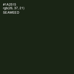 #1A2515 - Seaweed Color Image