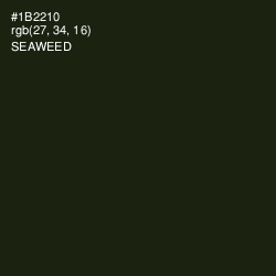 #1B2210 - Seaweed Color Image