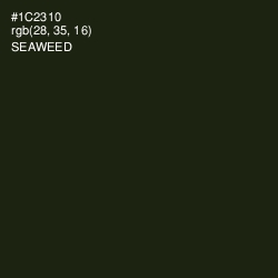 #1C2310 - Seaweed Color Image