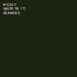 #1C2411 - Seaweed Color Image