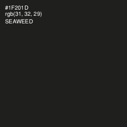 #1F201D - Seaweed Color Image