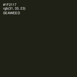 #1F2117 - Seaweed Color Image