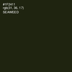 #1F2411 - Seaweed Color Image