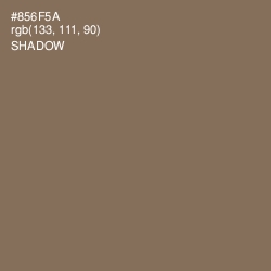 #856F5A - Shadow Color Image