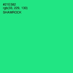 #21E582 - Shamrock Color Image