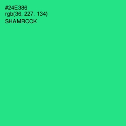 #24E386 - Shamrock Color Image