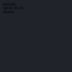 #20232A - Shark Color Image