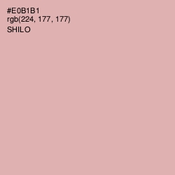#E0B1B1 - Shilo Color Image