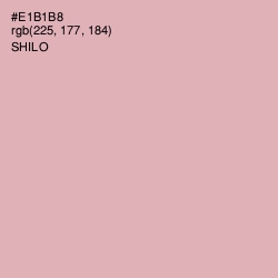 #E1B1B8 - Shilo Color Image