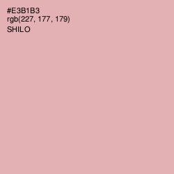 #E3B1B3 - Shilo Color Image