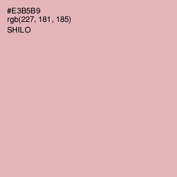 #E3B5B9 - Shilo Color Image