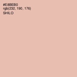 #E8BEB0 - Shilo Color Image