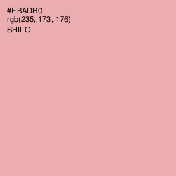 #EBADB0 - Shilo Color Image
