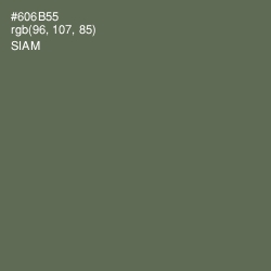 #606B55 - Siam Color Image