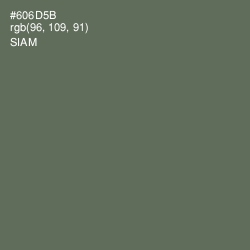 #606D5B - Siam Color Image