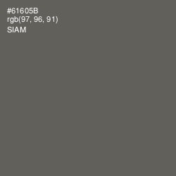 #61605B - Siam Color Image