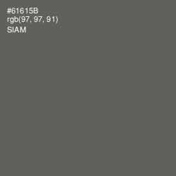 #61615B - Siam Color Image