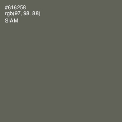 #616258 - Siam Color Image