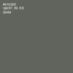 #61635D - Siam Color Image