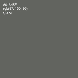 #61645F - Siam Color Image