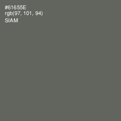 #61655E - Siam Color Image