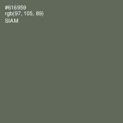 #616959 - Siam Color Image