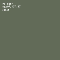 #616B57 - Siam Color Image