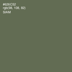 #626C52 - Siam Color Image