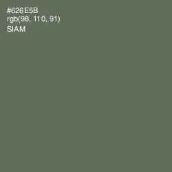 #626E5B - Siam Color Image